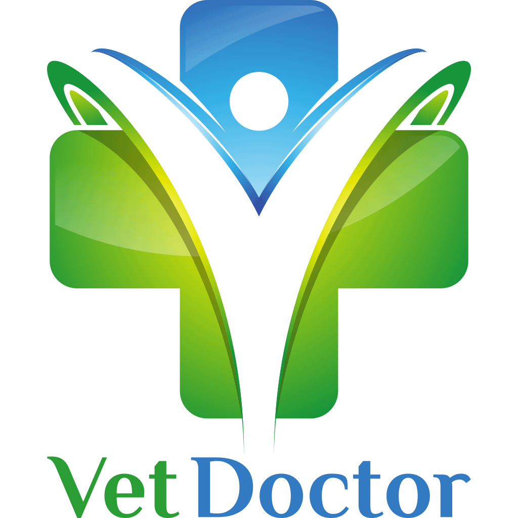 VetDoctor - Strony internetowe dla gabinetów weterynaryjnych