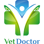 Strona główna • VetDoctor (multi-001) Strona główna • VetDoctor (multi-001) • Marketing weterynaryjny. Oferujemy tworzenie stron WWW dla weterynarii: projekt, utrzymanie, mail firmowy, darmowa domena, SEO.