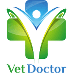 Strona główna • VetDoctor (blog-001) • Marketing weterynaryjny. Oferujemy tworzenie stron WWW dla weterynarii: projekt, utrzymanie, mail firmowy, darmowa domena, SEO.